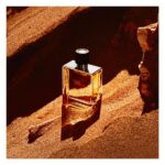 Hermes Terre D’Hermes Parfum EDP 200ml