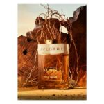 Bvlgari Man Terrae Essence EDP 100ml