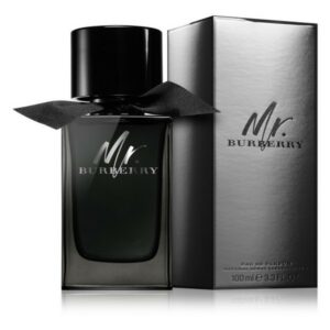 <h3 class="woocommerce-loop-product__title clr-compatible-product-title">Burberry Mr Burberry EDP 100ml spray</h3> <span class="clr-size-suffix">100ml</span>
