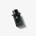Burberry Mr Burberry EDP 100ml spray