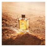 Hermes Terre D’Hermes Eau Intense Vetiver EDP 100ml