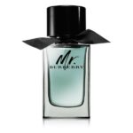 Burberry Mr Burberry EDT 100ml spray