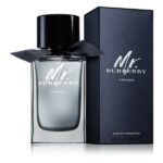 Burberry Mr. Burberry Indigo EDT 150ml spray