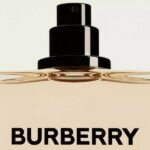 Burberry Hero EDT 100ml spray