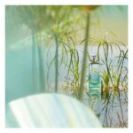 Hermes Un Jardin Sur Le Nil EDT 50ml