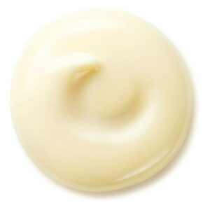 Shiseido Benefiance Wrinkle Smoothing SPF25 Day Cream 50ml