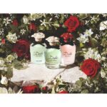 Dolce & Gabbana Rosa Excelsa EDP 50ml