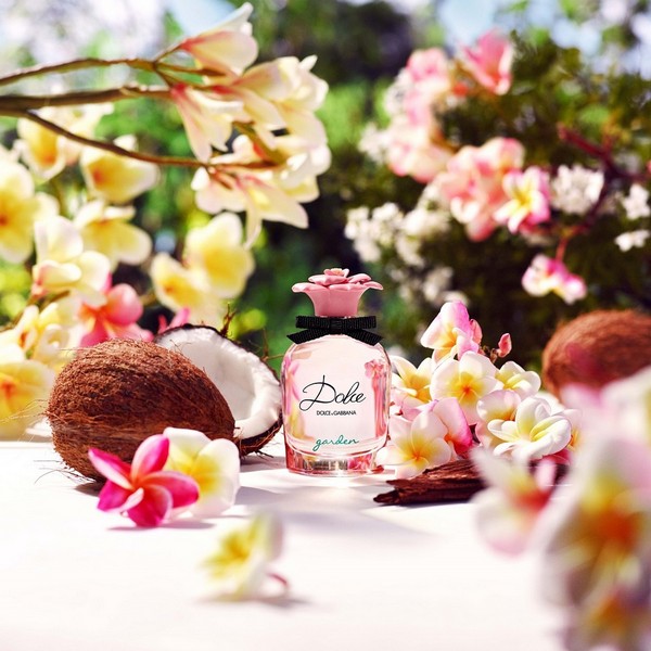 Dolce gabbana garden 30ml discount