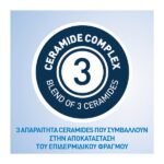 Cerave Moisturizing Cream Ενυδατική Κρέμα για Ξηρό Πολύ Ξηρό Δέρμα 454gr