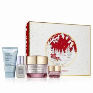 Estee Lauder Plump + Nourish – Skincare Wonders Set