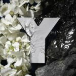 YSL Y 2022 EDT 100ml