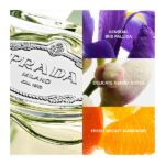 Prada Les Infusions D’Iris EDP 30ml