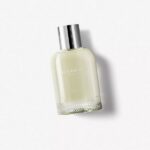 Burberry Weekend For Men EDT 100ml spray (new pack)