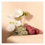 Chloe Nomade EDT 30ml