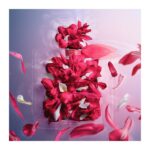 Lancome La Vie Est Belle Intensement EDP 50ml spray