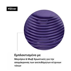L’Oreal Professionnel Serie Expert Silver Σαμπουάν Για Λευκά ή Ασημί Μαλλιά 300ml