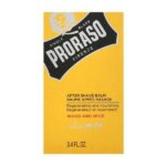 Proraso Wood & Spice After Shave Balm 100ml
