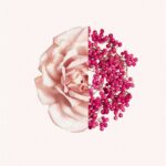 Givenchy Irresistible Fraiche EDT 50ml