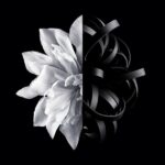 Givenchy L’Interdit EDT 80ml