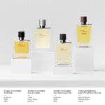Hermes Terre d’Hermès Eau Givrée Refillable EDP 50ml