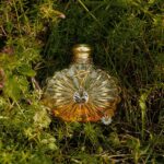 Lalique Soleil Vibrant Lalique EDP 50ml