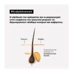 L’Oreal Professionnel Serie Expert Scalp A-Discomfort Σαμπουάν Για Το Ευαίσθητο Τριχωτό 500ml