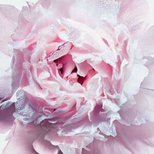 Dior Miss Dior Silk Body Mist 100ml