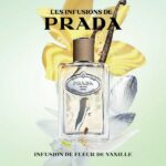 Prada Les Infusions De Vanille EDP 100ml