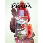 Prada Les Infusions De Figue EDP 100ml