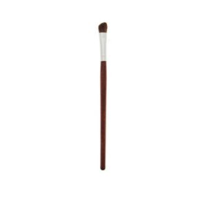 Assim Eye Shadow Brush RE6