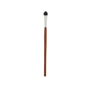 Assim Eye Shadow Sponge RE60