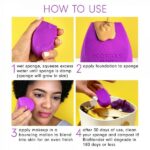 Ecotools Bioblender Biodegradeable Makeup Sponge