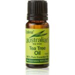 Optima Australian Tea Tree Antiseptic Oil 10ml