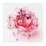 Nina Ricci Nina Illusion Eau De Parfum 50ml