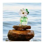Marc Jacobs Daisy Wild Eau De Parfum 50ml