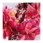 Dior Miss Dior Parfum Intense Floral, Fruity and Woody Notes 50ml