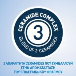 CeraVe Foaming Cleanser Gel Moussant Αφρώδες Gel Καθαρισμού Προσώπου & Σώματος Για Κανονική Έως Λιπαρή Επιδερμίδα 1Lt