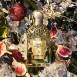 Guerlain Aqua Allegoria Forte Nerolia Vetiver Eau de Parfum 75 ml