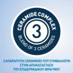 Cerave Promo Moisturizing Lotion Ενυδατικό Γαλάκτωμα Για Ξηρό Πολύ Ξηρό Δέρμα 236ml & ΔΩΡΟ Foaming Cleanser Gel Καθαρισμού 20ml
