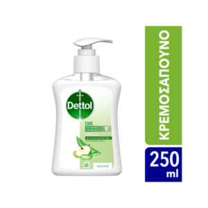 Dettol Moisture Aloe Vera & Milk Proteins Liquid Hand Wash 250ml Pump