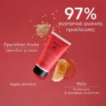 Apivita Promo Set Color Seal Shampoo 250ml & Conditioner 150ml
