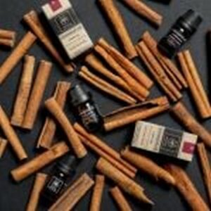 Apivita Essential Oil Cinnamon Βιολογικό Αιθέριο Έλαιο Κανέλα 5ml