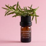 Apivita Essential Oil Tea Tree Βιολογικό Αιθέριο Έλαιο Δενδρολίβανο 10ml