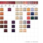 Schwarzkopf Igora Royal Highlifts 60ml