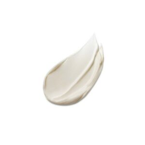 Estee Lauder Advanced Night Repair Overnight Treatment 65ml