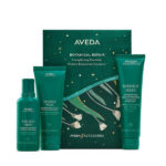 Aveda Botanical Repair Strengthening Essentials Gift Set