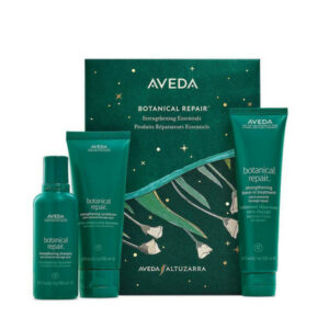 Aveda Botanical Repair Strengthening Essentials Gift Set