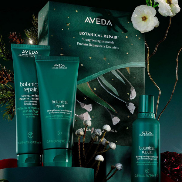 Aveda Botanical Repair Strengthening Essentials Gift Set