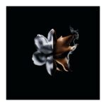 Givenchy L’Interdit  Absolu Intense Eau De Parfum 35ml