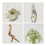 Donna Karan Cashmere Mist Eau De Parfum 100ml